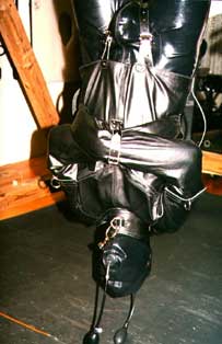 Leather and latex bound in bondage by Sharina while being rubber gagged and inverted on the suspension system.
